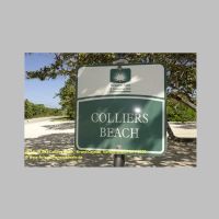 38741 18 053 Colliers Beach,  Grand Cayman, Karibik-Kreuzfahrt 2020.JPG